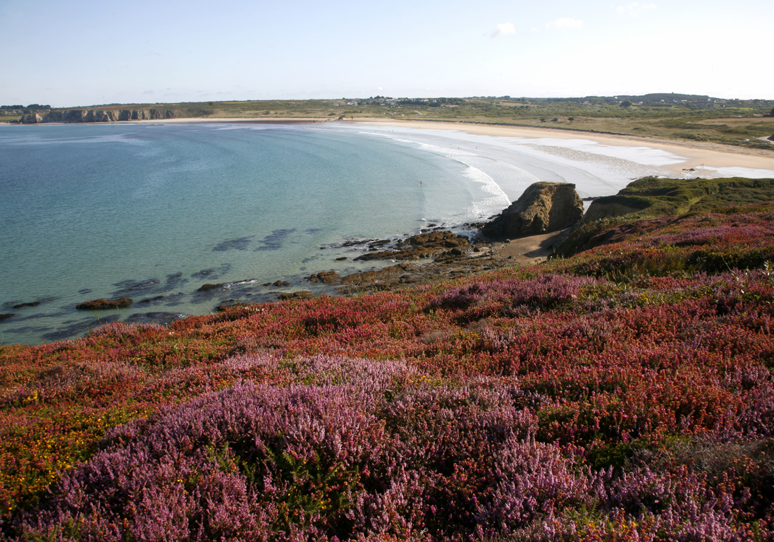 les landes france - Image