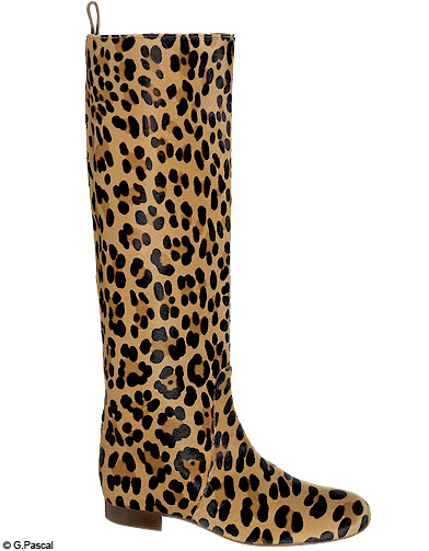 bottine leopard femme